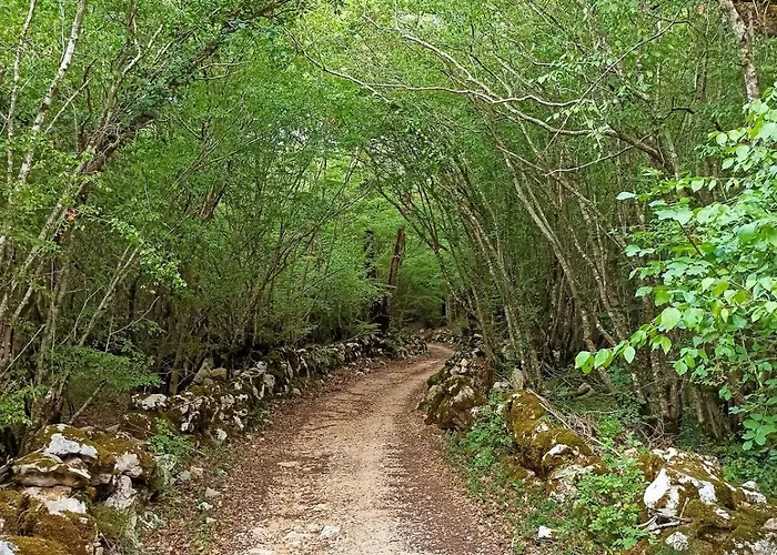 Lavanda, 50m From The Beach, Sea View Διαμέρισμα